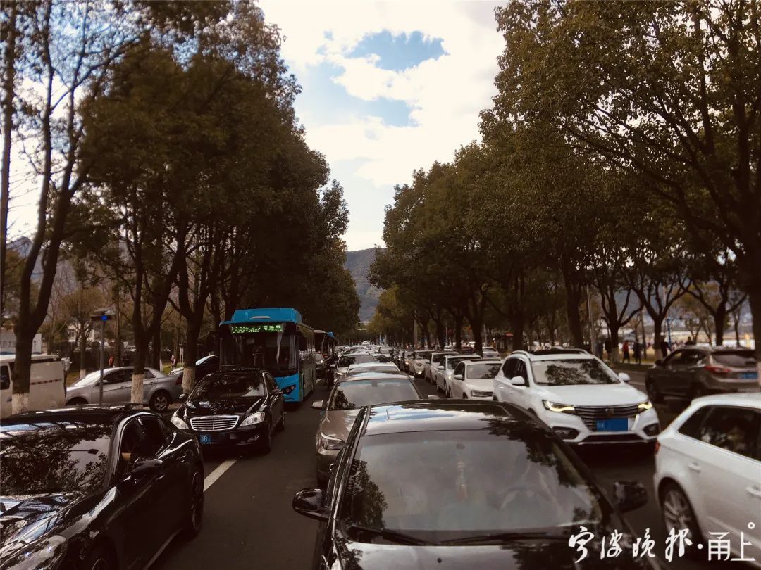 瞬时承载量接近规定峰值,宁波一景区暂停入园!