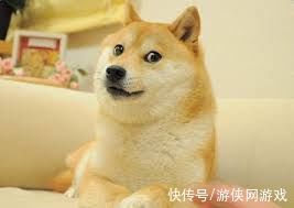 驳回|“狗头”大战：腾讯字节商标状态为“驳回复审中”