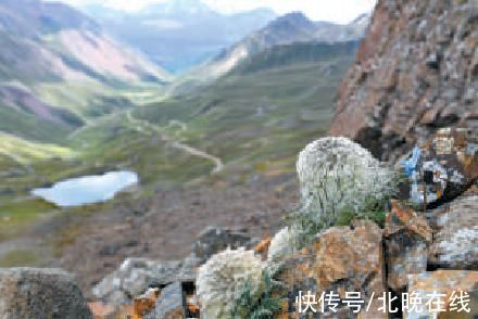 全球气候变暖|是什么让他留在梅里雪山，一留就是十六年？