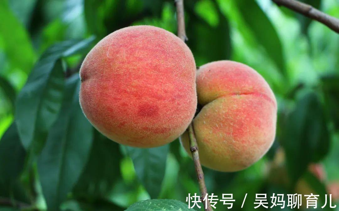 健康|桃子被誉为“天下第一果”,还有“肺之果”之称,3种吃法最健康