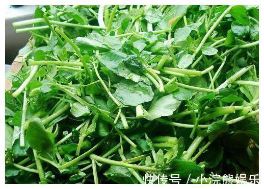 爱斯基摩人|女性不想显老,常吃四种食物,营养丰富,滋补身体,改善睡眠