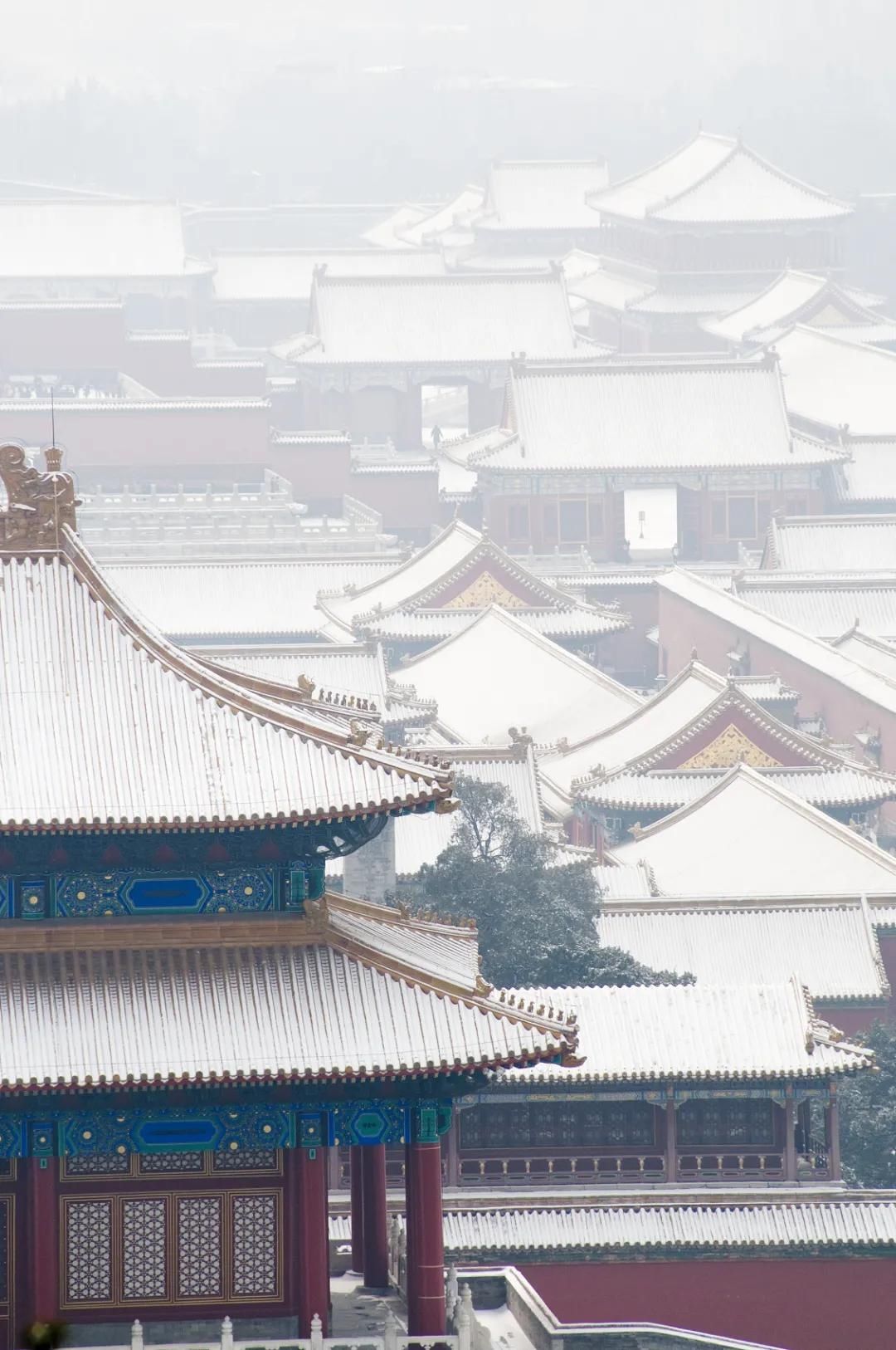  迎来|今日大雪丨今日0时9分迎来大雪节气 仲冬时节正式开始