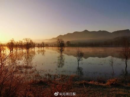 爱鸟护鸟|念湖如何成为鸟之乐园