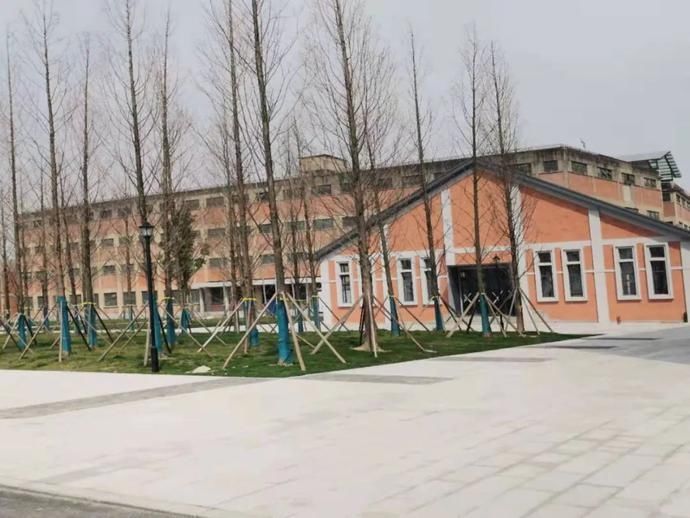 老年|人少景美！荆州这个网红景区，你打卡了吗？