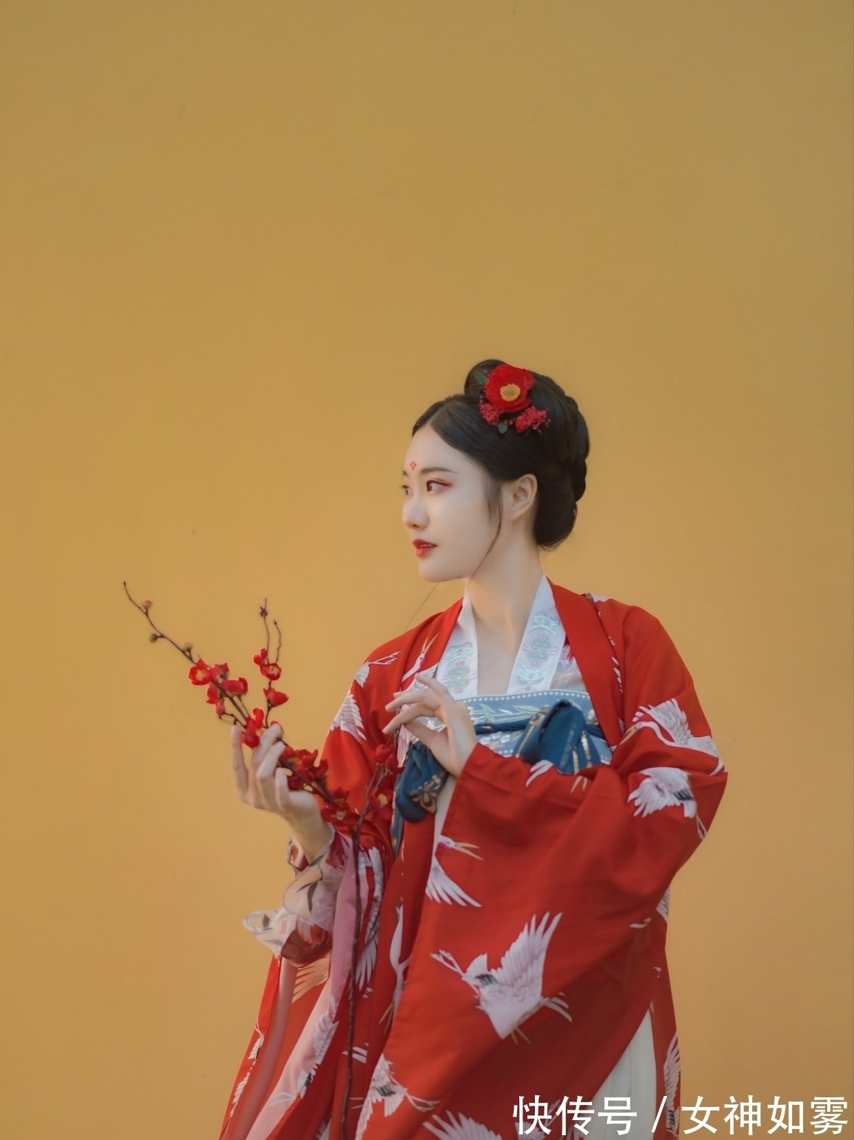 金枫!诗·八首丨淤泥深处寻佳偶,嫁与清香捧玉来