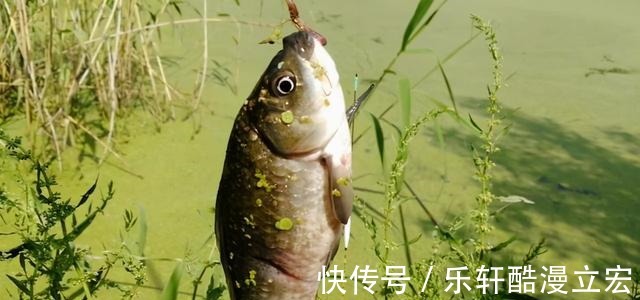 冬天,要想真正发挥传统钓的优势,还得注意这几点