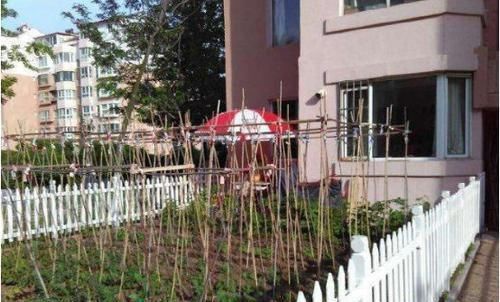 楼层|为什么有钱人,喜欢买一楼来住,住过就知多方便太聪明了!