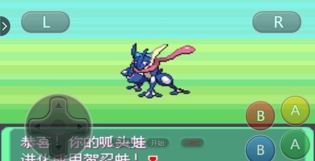 口袋妖怪xy冰系道馆