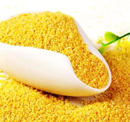 预防身体衰老，春天吃的食物，促进消化，补充能量，促进身体健康