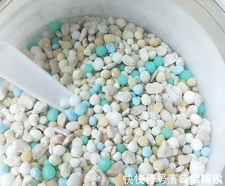 化肥|虎皮兰不长新芽,多是犯了3个错误,改正了才能不断冒嫩芽