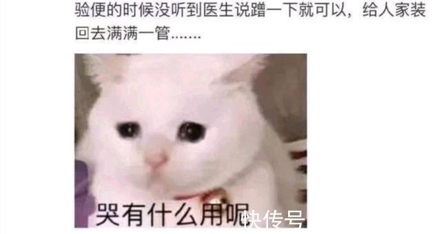 |搞笑神回复。远看是条狗,近看原来是我妈。有悖孝道