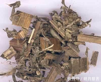 默默带你认识一味中药——大蓟！鼻窦炎咯血它都行，请为家人收藏