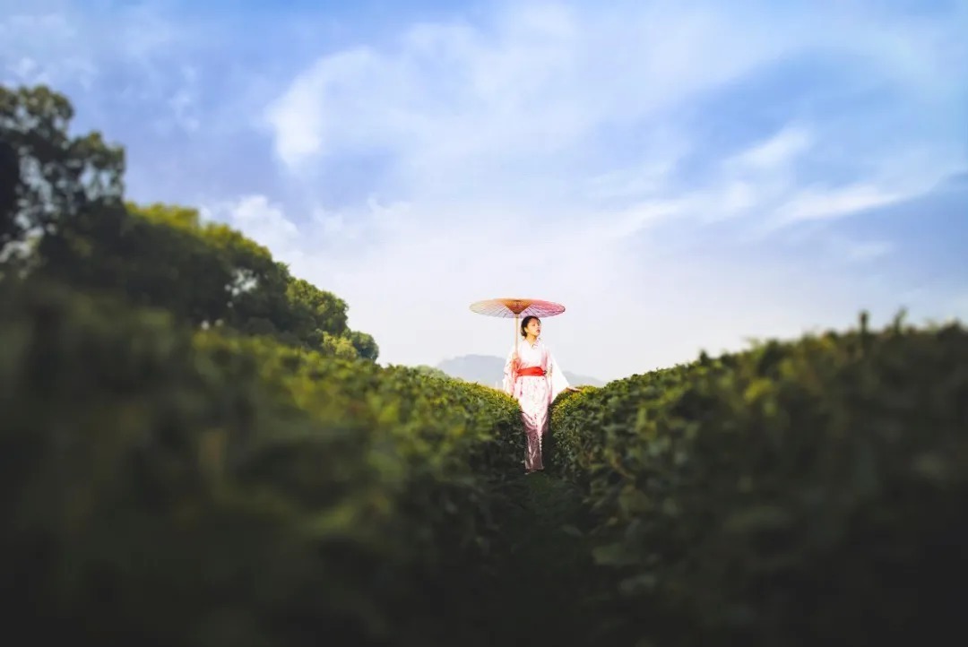 过失#精神的最高处(深度好文)