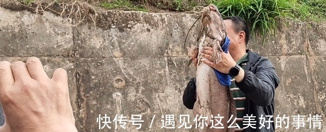 雨后，汕尾一河湾大群鲶鱼水面翻腾，附近钓鱼人：每条都有几十斤