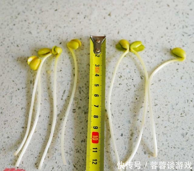 用了我这办法,发黄豆芽不会变臭一次就成功,五天就长15厘米高!