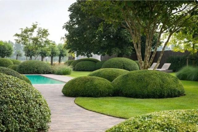 植物“整形”，花样百出