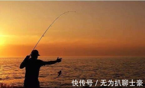 玩物丧志|为什么钓鱼穷三年, 玩鸟毁一生 其实主要想表达一个意思