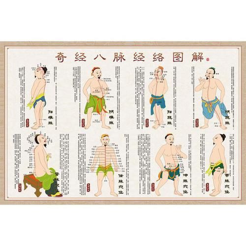 奇经八脉与脏腑究竟有无连属关系 快资讯