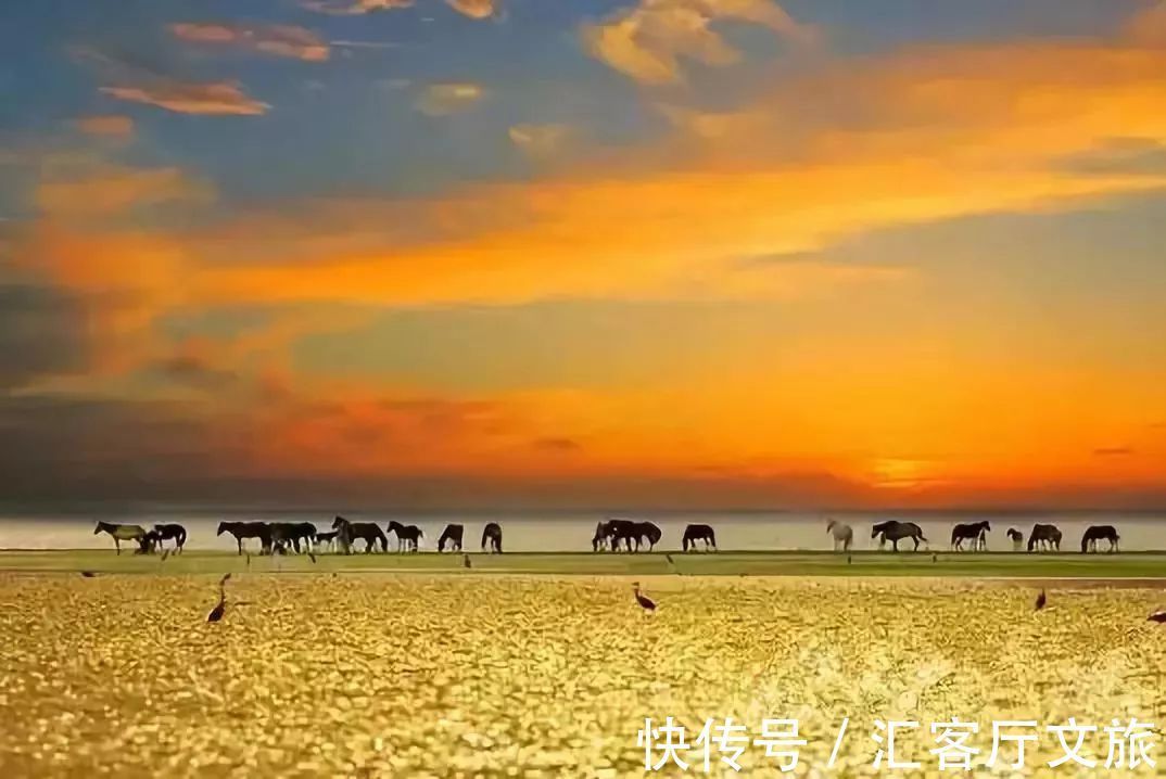 维族|这条“南疆大环线”都没走过?怎么好意思说到过新疆!