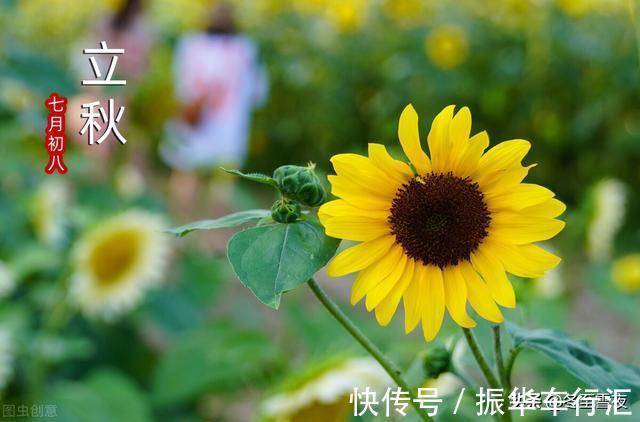 木耳|初秋,别忘了吃这几种食物,分享11道家常做法,营养还防止秋燥