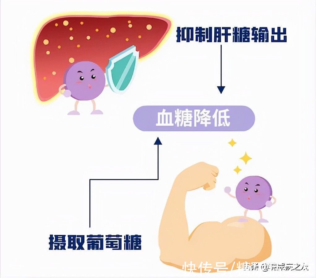 注射液|全球首个基础胰岛素GLP-1RA注射液，为糖友带来“高达标、易掌控”的新选择