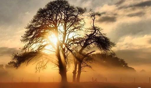 特征|人到老年,有这7个特征,说明你还很年轻,你有吗