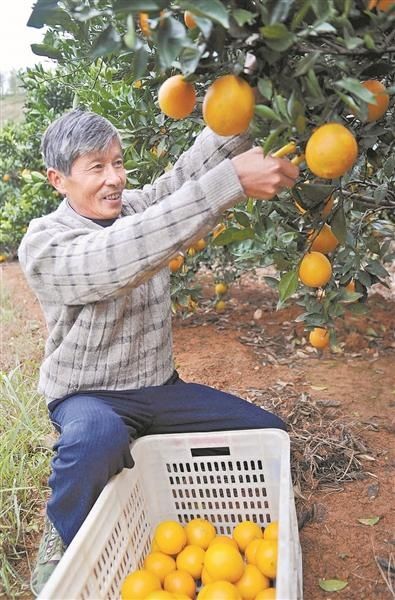  缤纷|追秋去 彩叶缤纷如打翻调色板