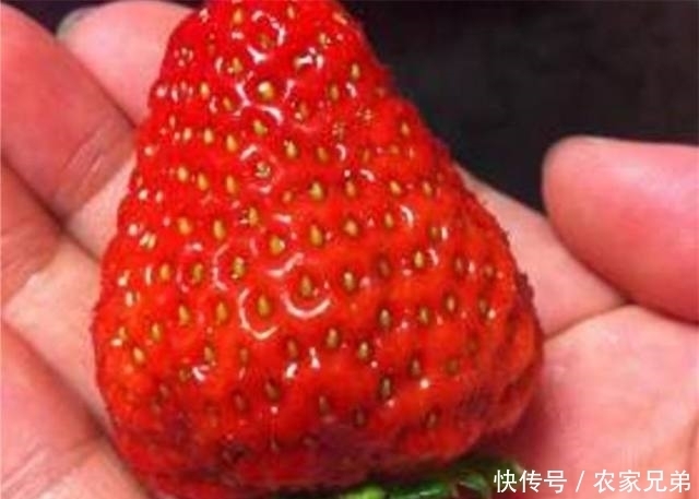 30秒完成一朵“草莓玫瑰花”,制作超级简单,赶紧学会发朋友圈