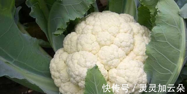 营养成分|这9种都是维生素C含量高的蔬菜,平时多吃点,皮肤好气色红润!