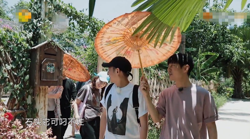 向往的生活分批录制实锤!吃饭叫外卖还假装送客,剪辑都圆不回来