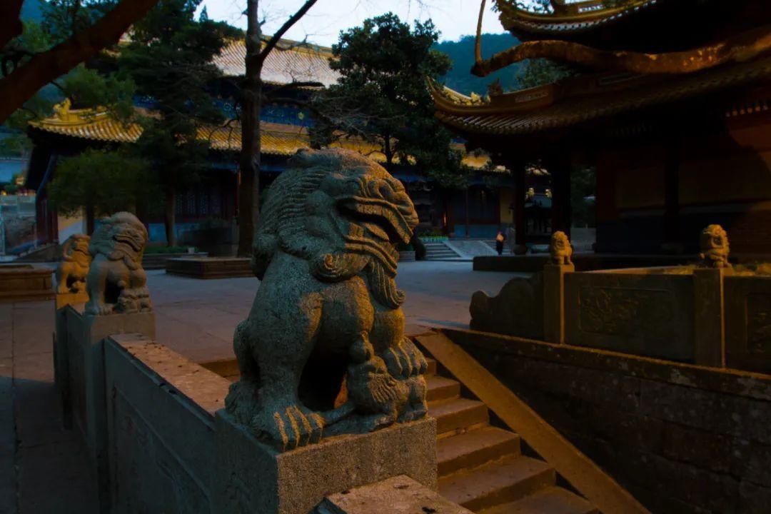 宁静|踩着普陀山历史深浅的脚印，在法雨寺的清晨，感受宁静淡远的禅韵