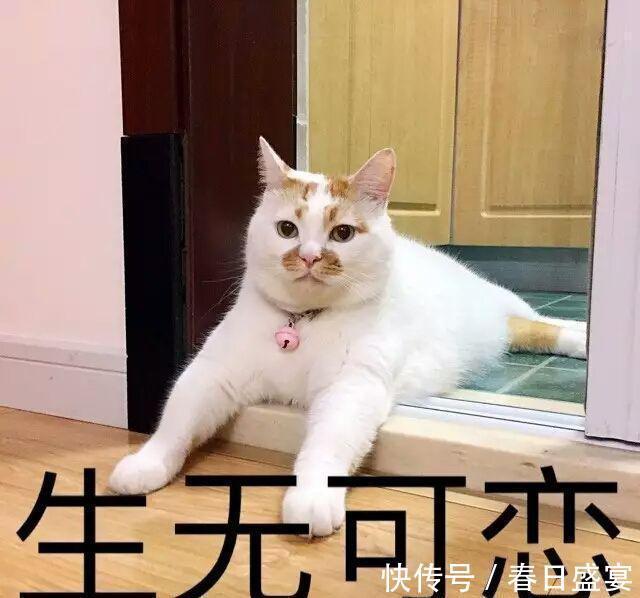 |搞笑段子:小红微微一笑,在自己试卷上写下了小明的名字