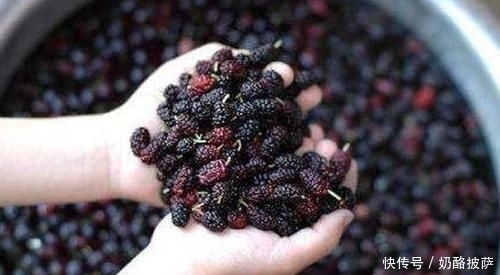 肾脏|男人过了40岁,这4样食物要多吃,激发“雄激素”,肾脏更健康