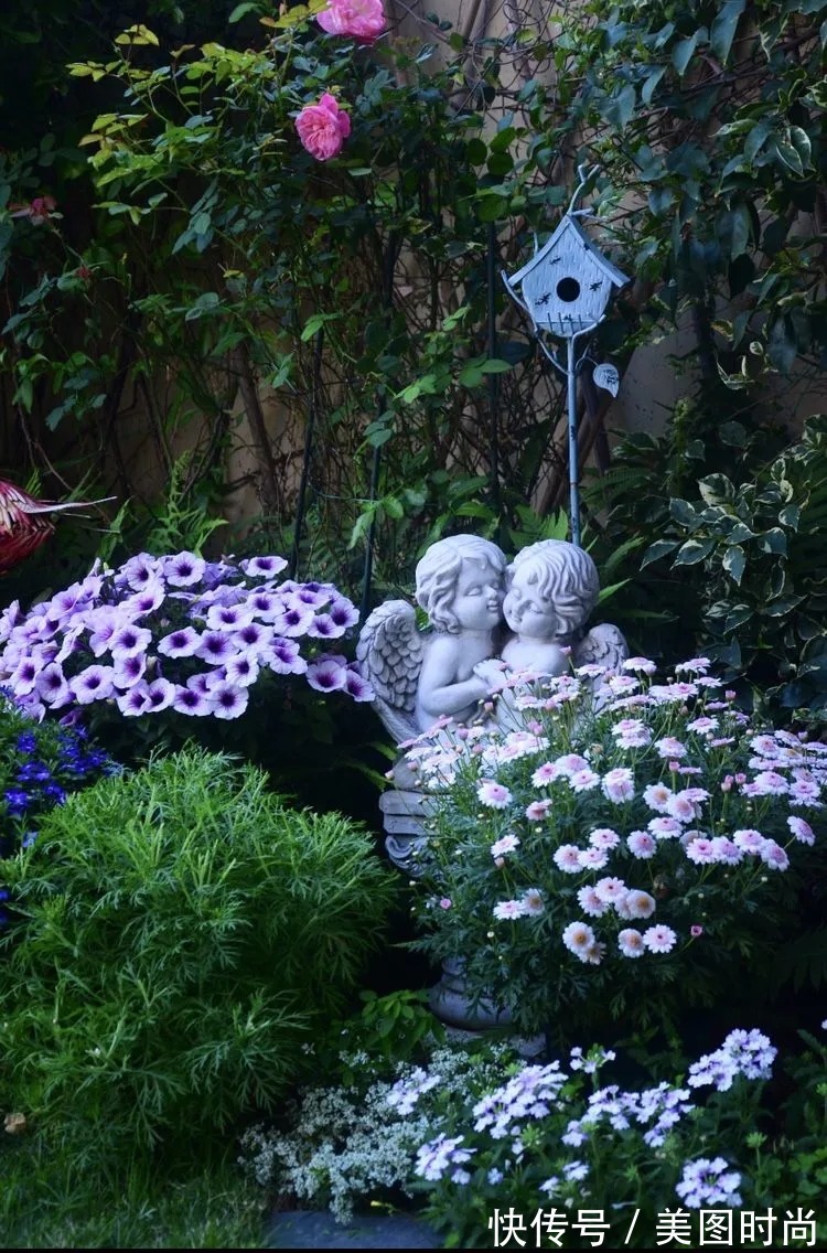 三角梅|120㎡别墅花园改造,经过三年的努力,小院从荒地到花开满园