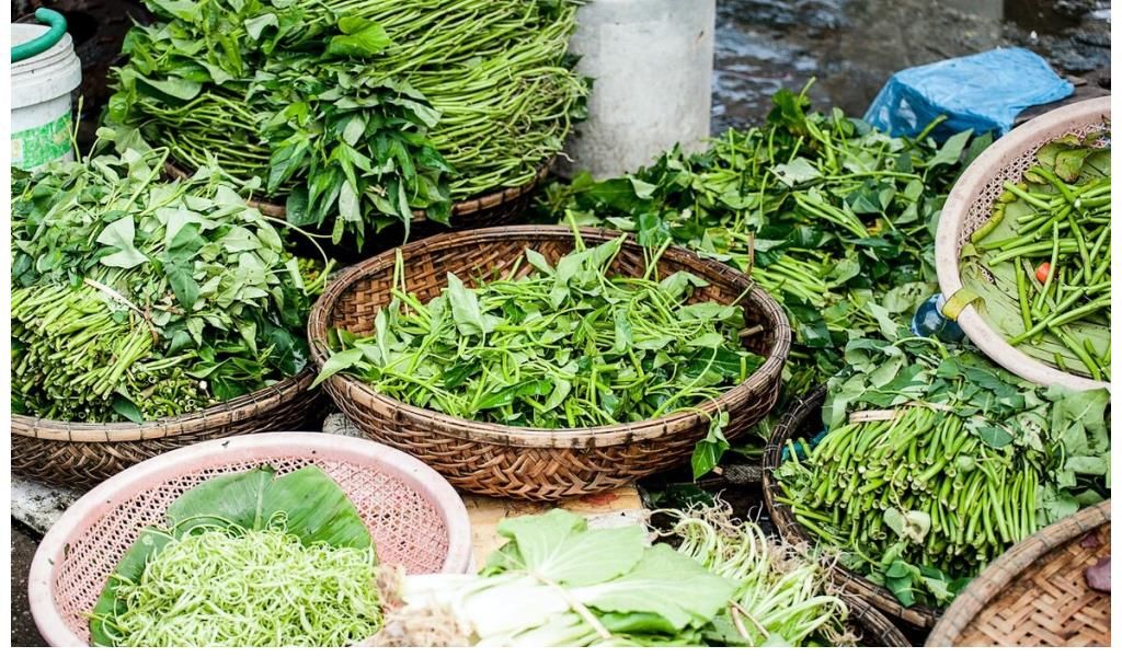 绿叶蔬菜|50岁后是养骨的黄金期，做到“三勤、二拒、一补”，预防骨质疏松