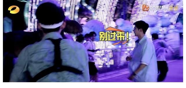 机关|210726《天天向上》0801预告公开 频频触碰到追捕机关的小猪啵让人想欺负