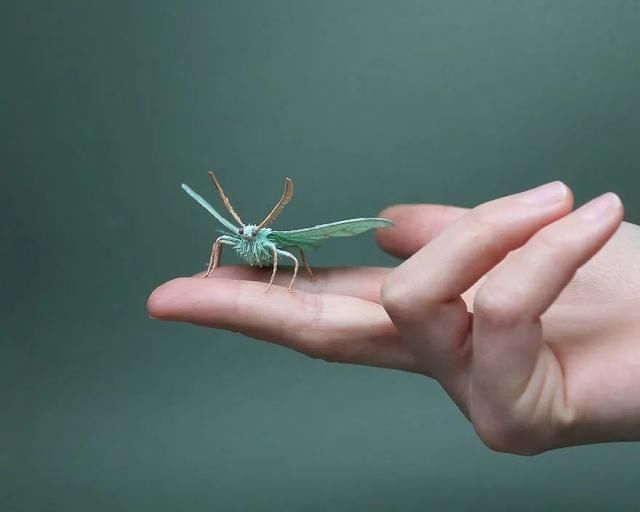 差点吓一跳,用纸做出来的昆虫,比真的还逼真