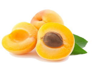 好吃|热量低又好吃的水果,减肥吃再好不过,减肥党来看!