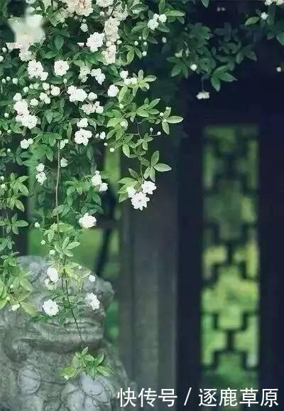 熟悉|这十句最熟悉的古诗词,记住了就是一辈子