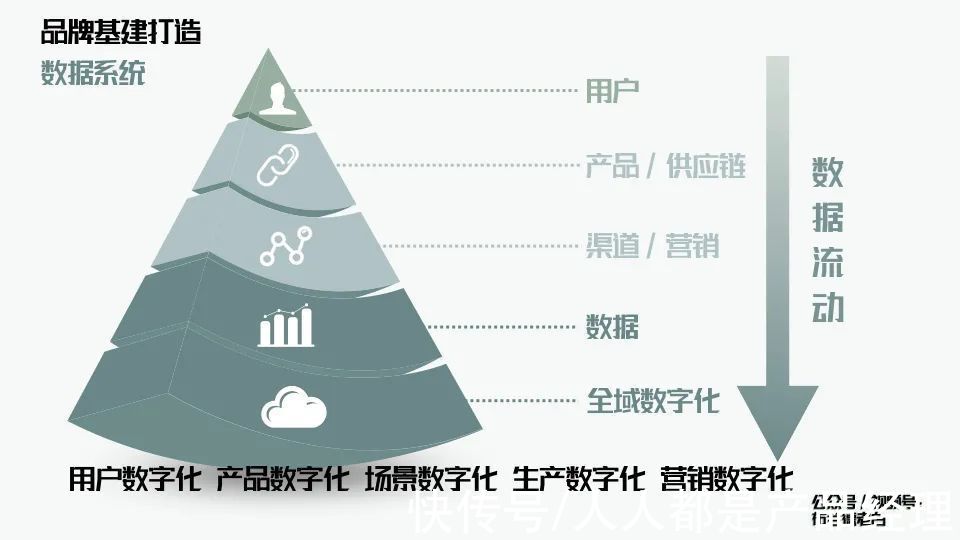 用户|万字解析品牌全域增长模型