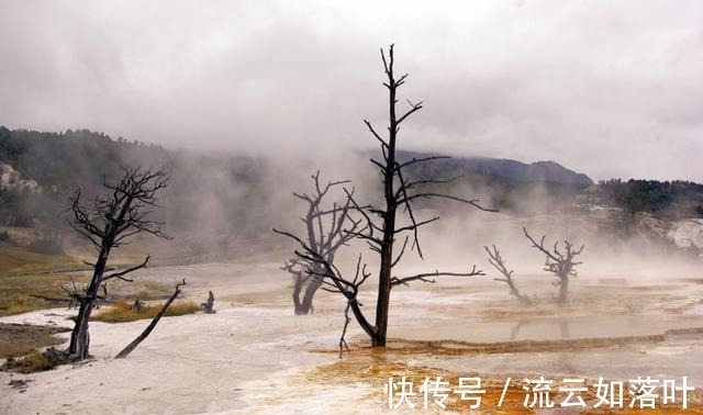 前任|桃花浓浓，喜你成疾，旧情依依，挽回前任，回心转意