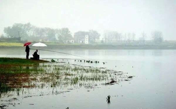 夏季钓黄颡鱼,这两种钓法很实用,钓法得当,渔获差不了