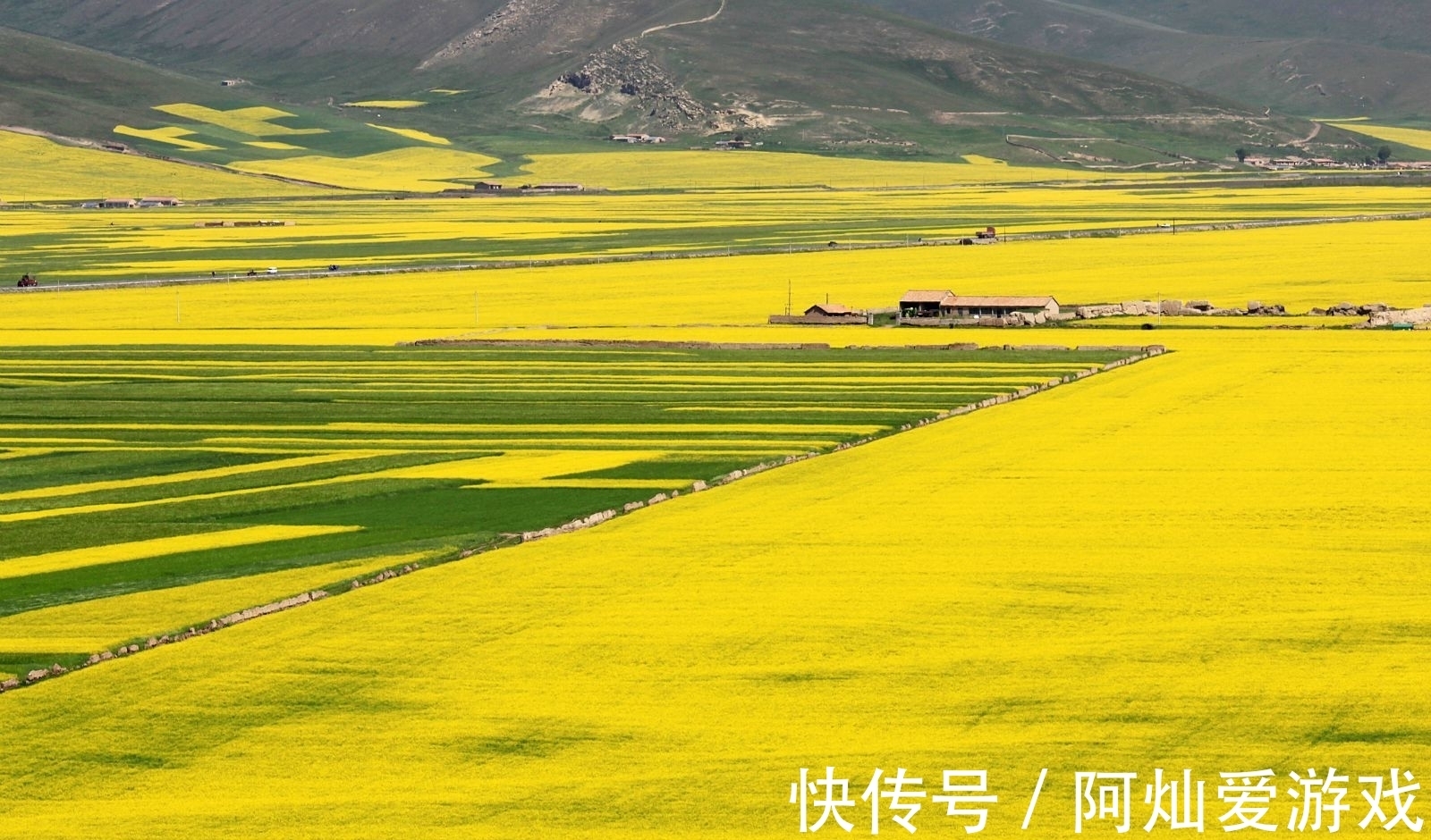 赛里木湖|自驾圣地，邂逅美丽爱情，我们一起去领略她们的秋韵吧