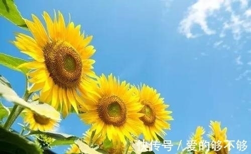 严幼韵|人人都想长寿,看看这对夫妻长寿的秘诀:丈夫98岁,妻子112岁!