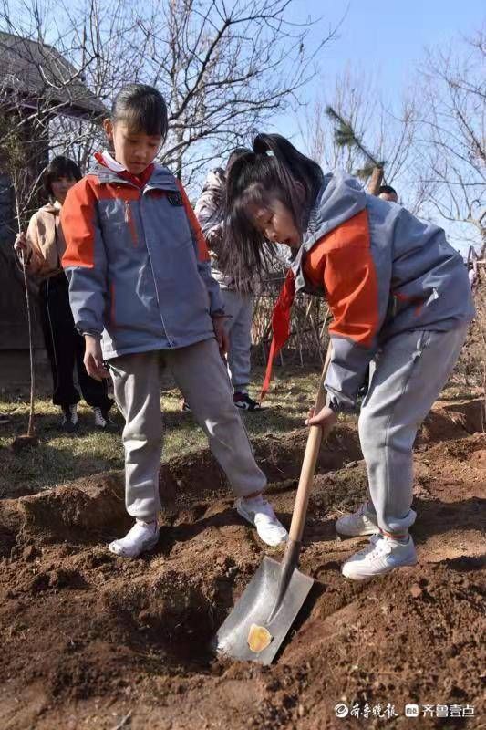 植树|植树造林从娃娃抓起——齐鲁实验学校举行小学生亲子植树活动