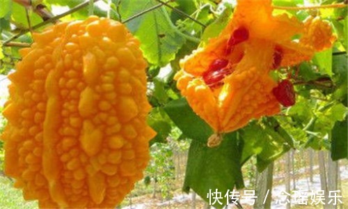 排毒|爱美女性不妨多吃3种食物，润肤养颜，排毒抗衰，爱吃就赚了