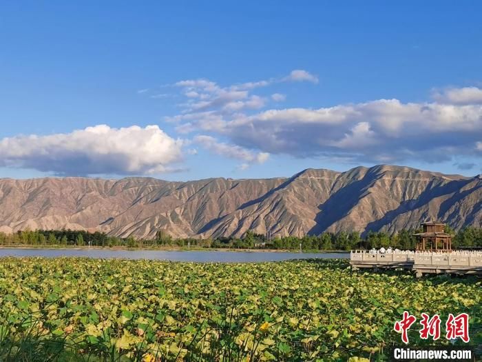 甘肃白银启动“无废城市”建设 黄河沿岸遍地成“景”