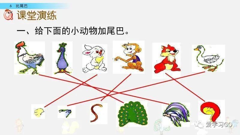  一年级|部编版一年级上册第6课《比尾巴》图文讲解+知识要点