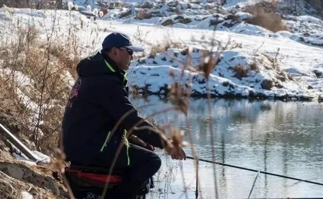 钓位|冬季正是钓鲤鱼旺季!只要掌握技巧,平时见不到的大鲤鱼频繁咬钩