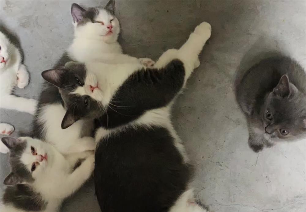 家居用品|东北小夫妻住了3年毛坯房，简不简陋不清楚，但是家居用品真全乎